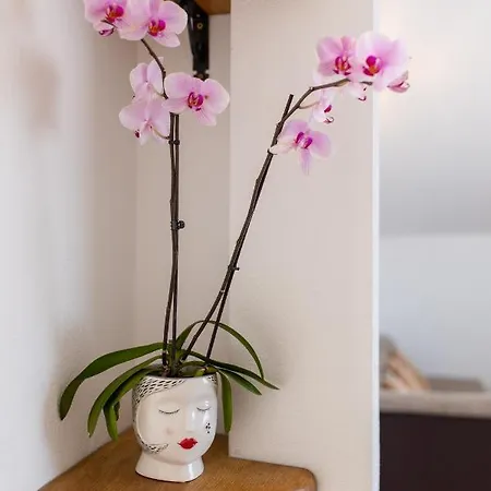 Vranjic Apartamento *