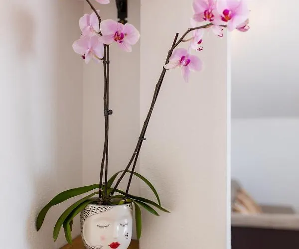 Vranjic Apartamento *